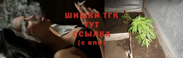 твердый Володарск