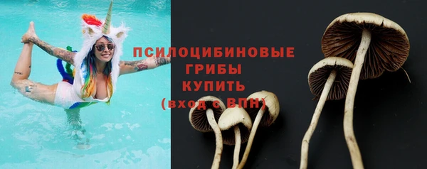 PSILOCYBIN Волосово