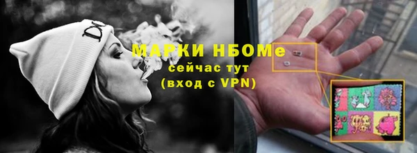 прущие грибы Волоколамск