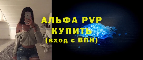 PSILOCYBIN Волосово