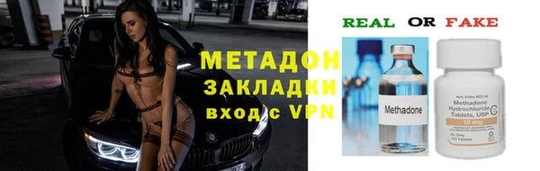 прущие грибы Волоколамск