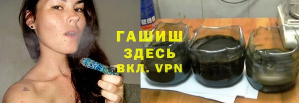 прущие грибы Волоколамск