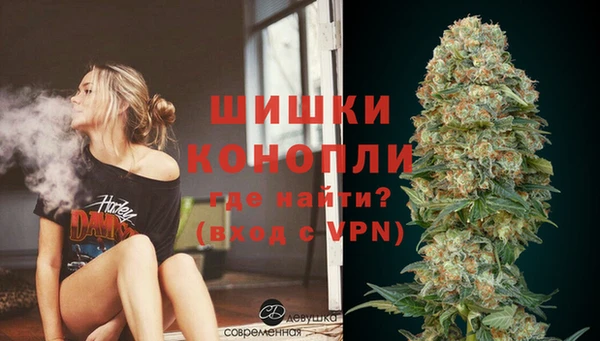 твердый Володарск