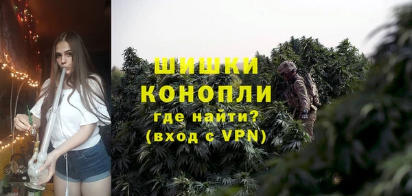 PSILOCYBIN Волосово