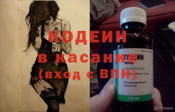 прущие грибы Волоколамск