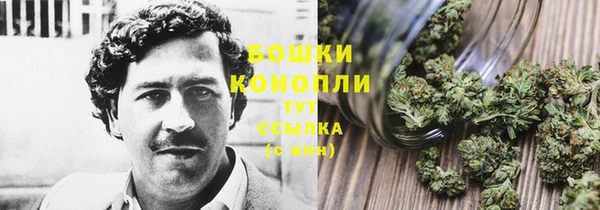 прущие грибы Волоколамск