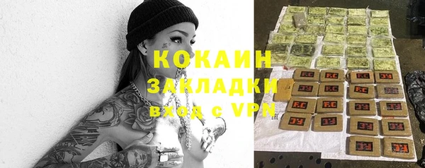 PSILOCYBIN Волосово