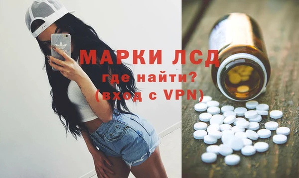 PSILOCYBIN Волосово