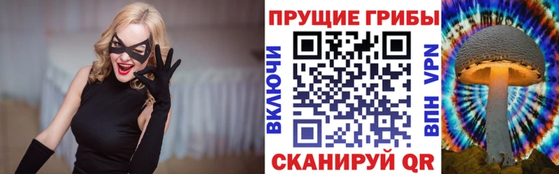 Галлюциногенные грибы Psilocybine cubensis  Подольск 